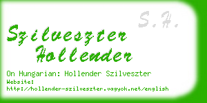 szilveszter hollender business card